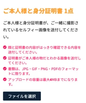 IS6FX-mibun2