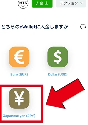ewallet2
